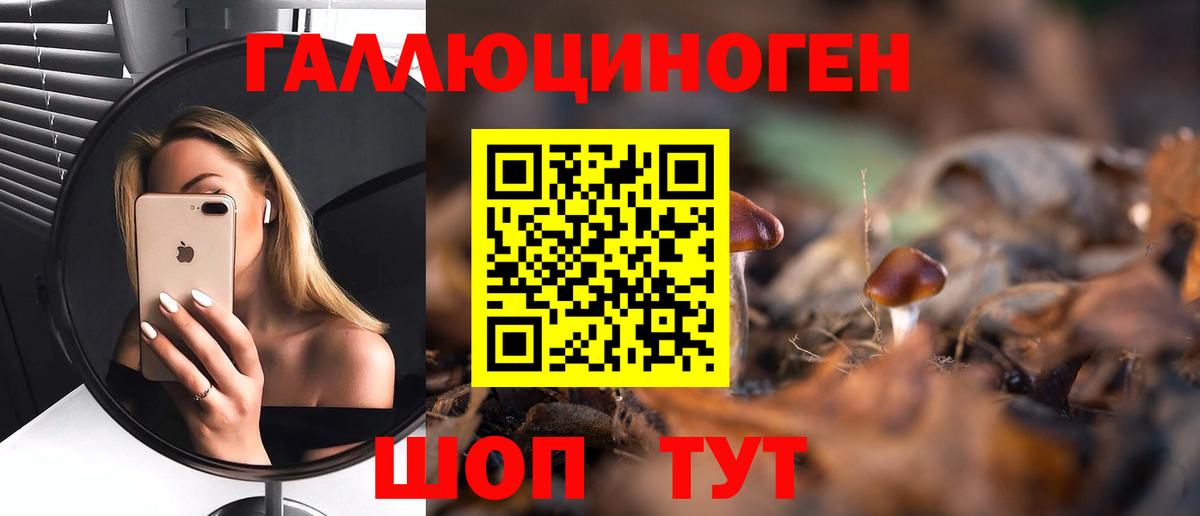 Приморско-Ахтарск  Псилоцибиновые грибы Magic Shrooms  Вход с VPN 